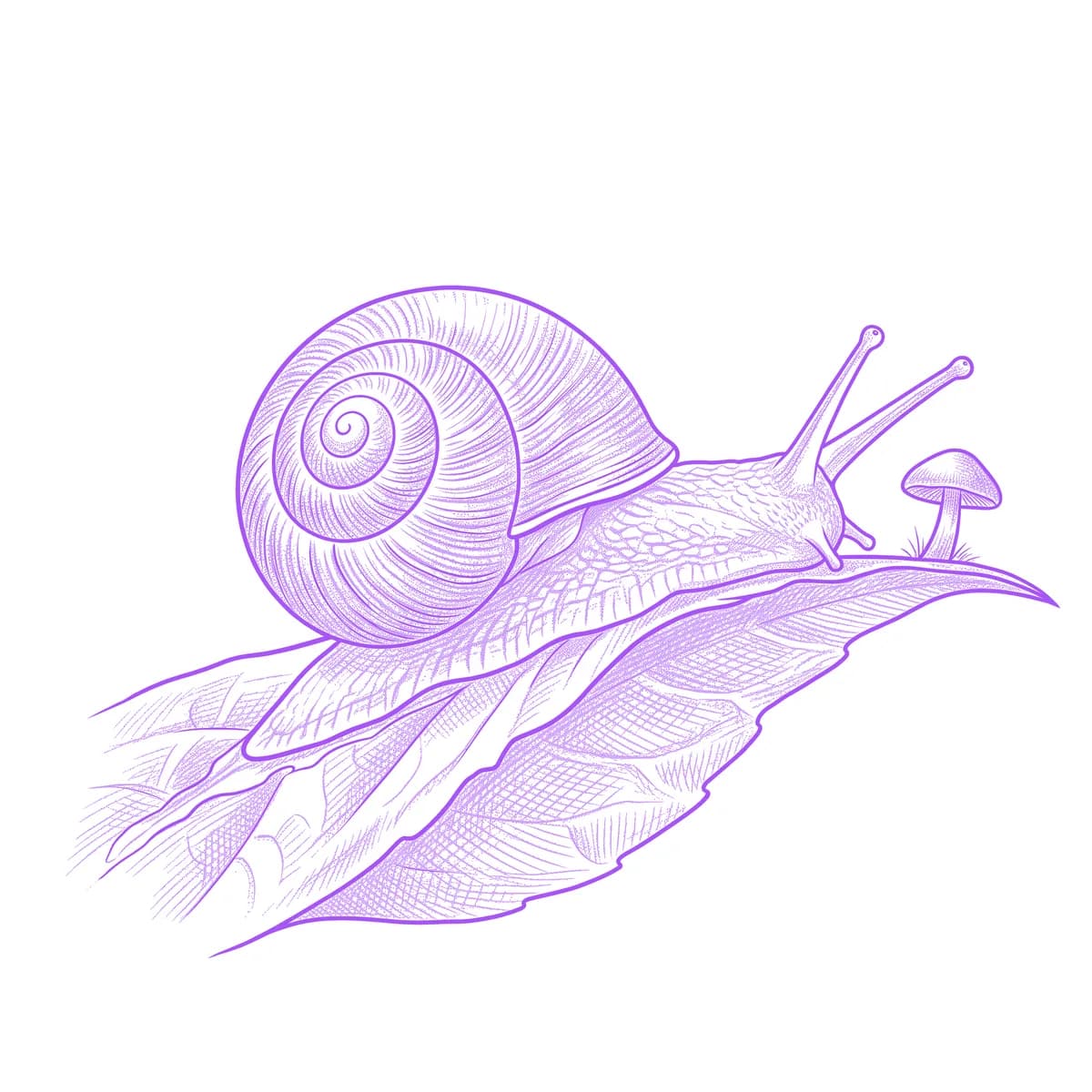 Snail Tattoo Stencil
