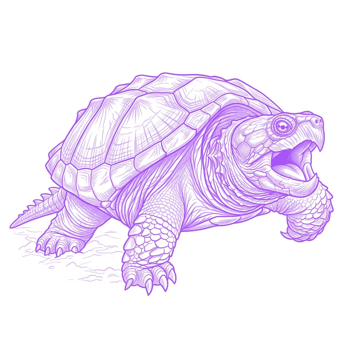Snapping Turtle Tattoo Stencil