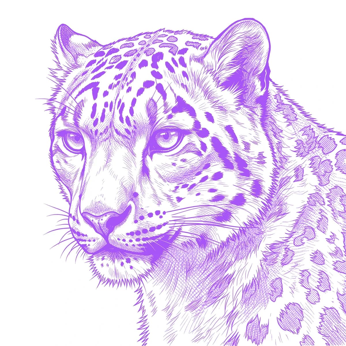 Snow Leopard Stencil