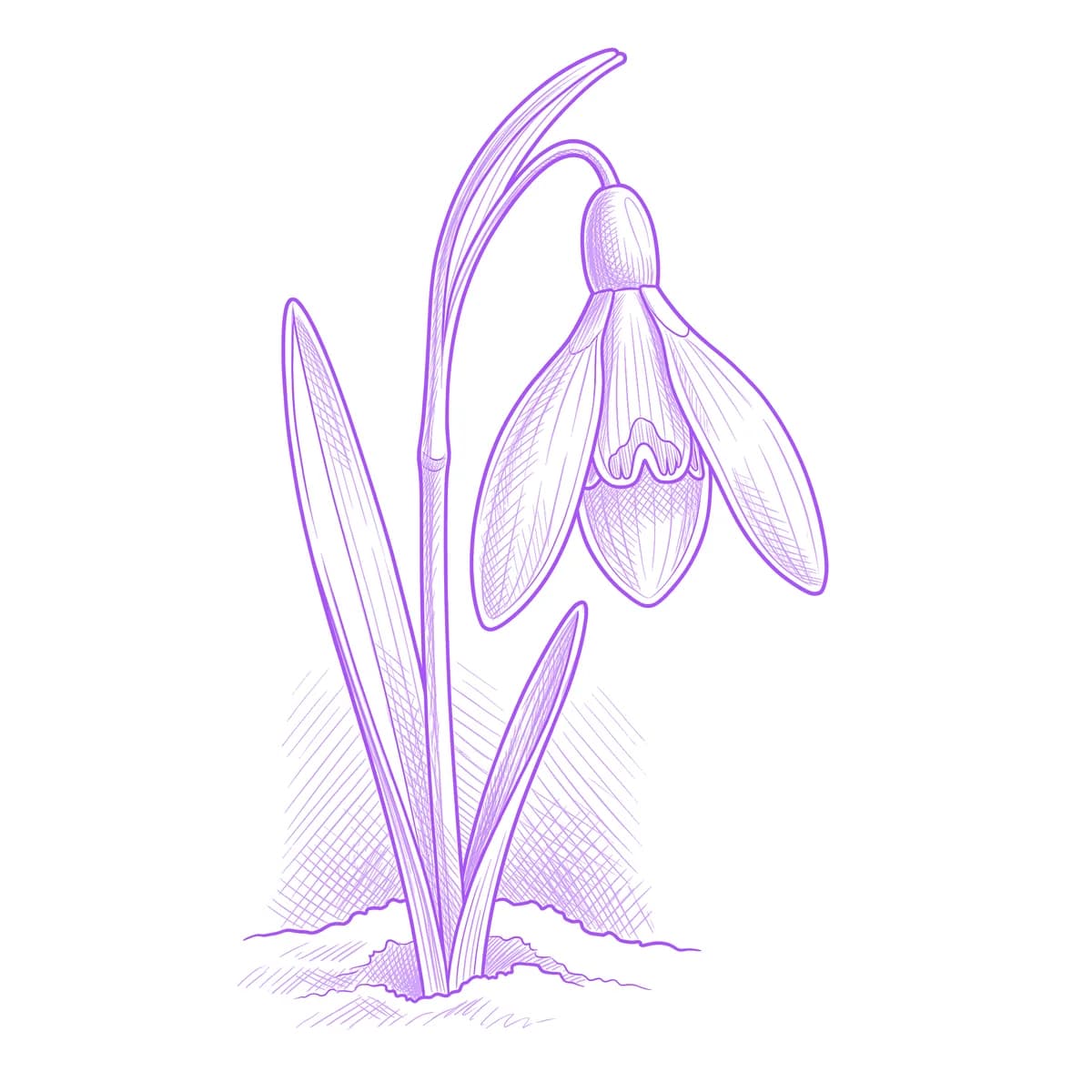 Snowdrop Tattoo Stencil