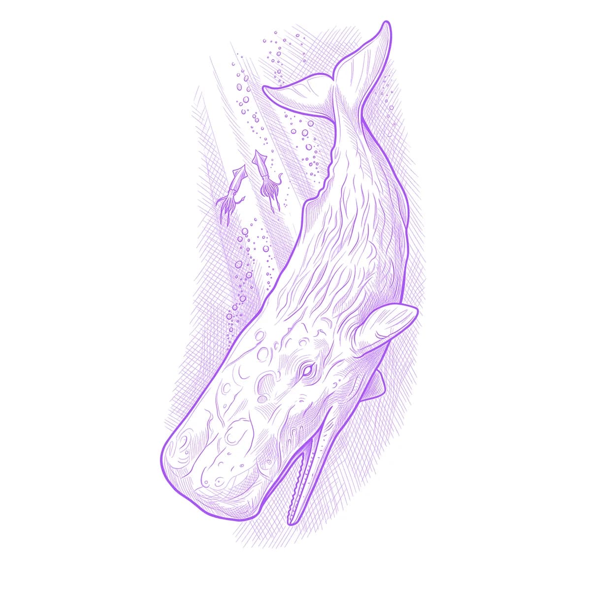 Sperm Whale Tattoo Stencil