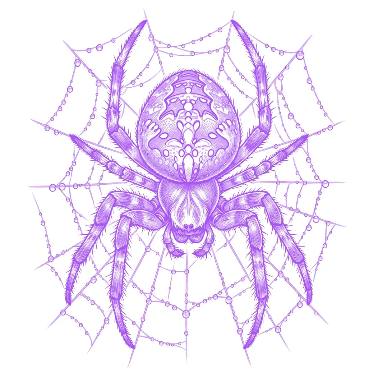 Spider Stencil