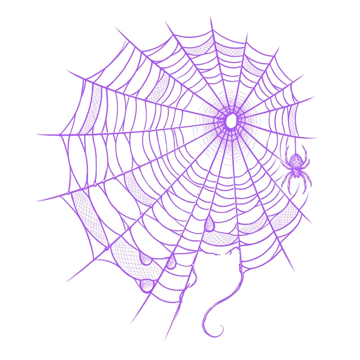 Spider Web Tattoo Stencil