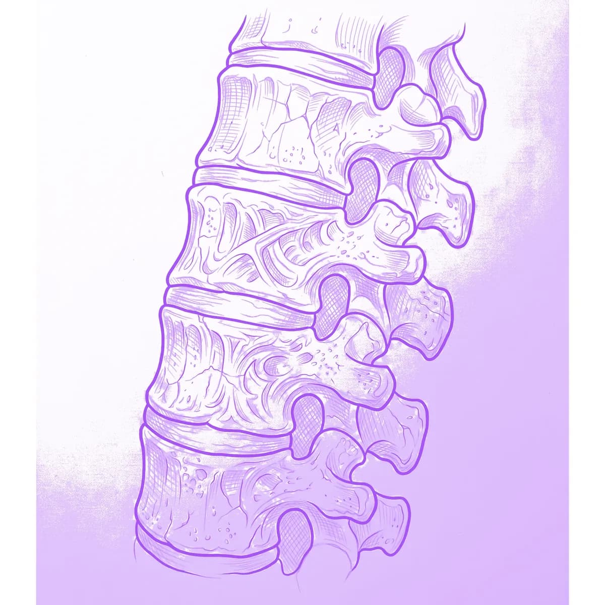 Spine Stencil