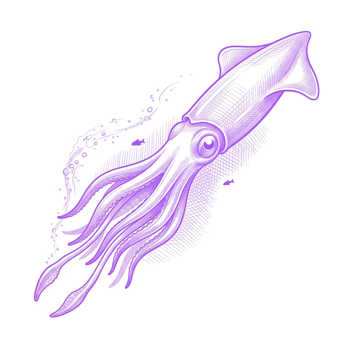 Squid Tattoo Stencil