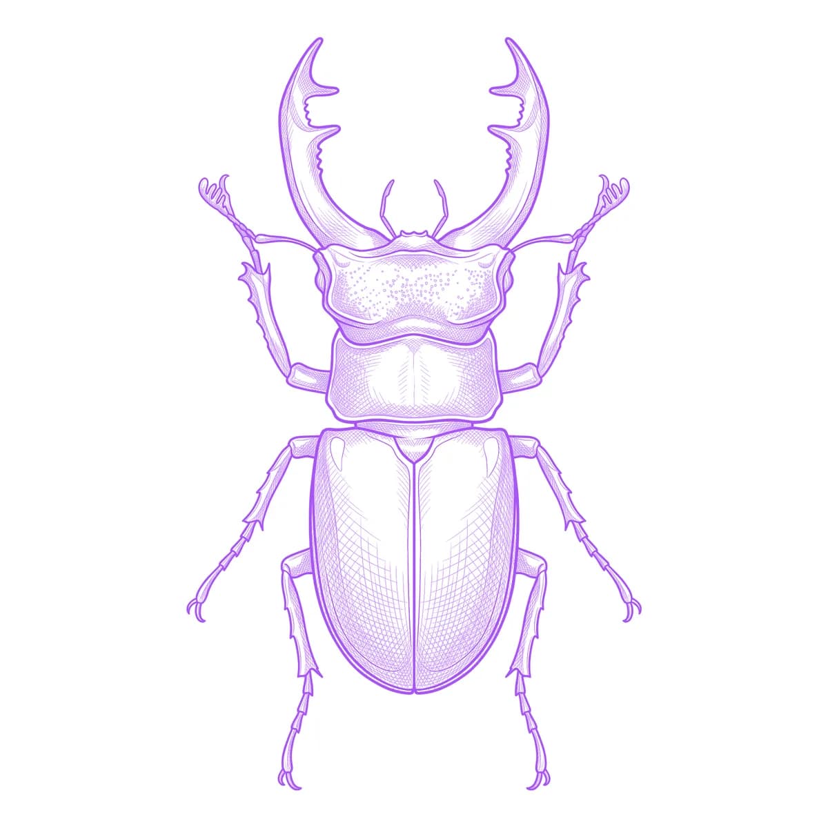 Stag Beetle Tattoo Stencil