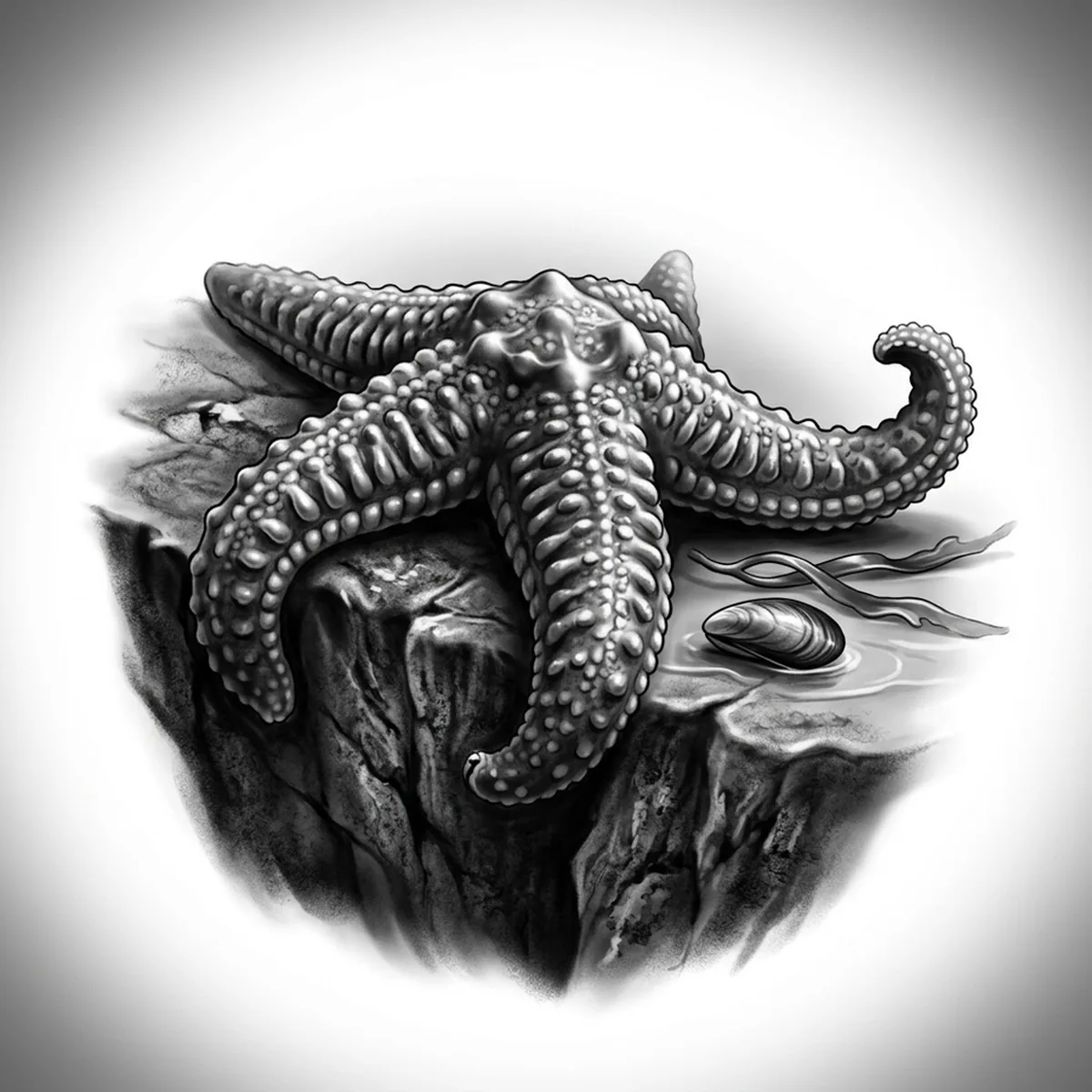 Starfish — Reference
