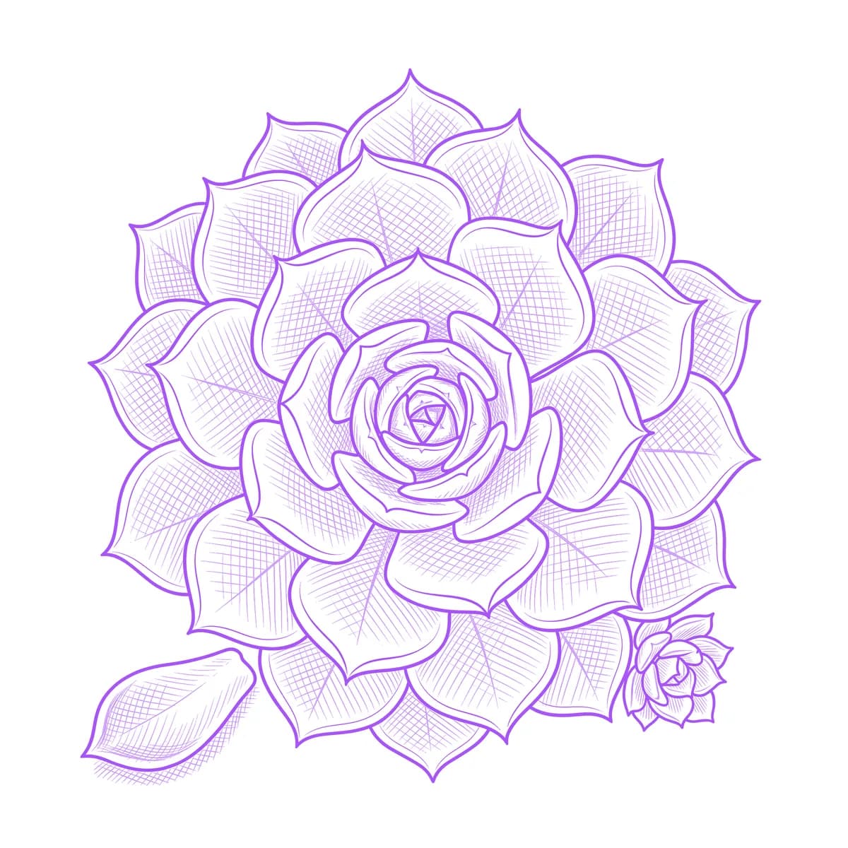 Succulent Tattoo Stencil