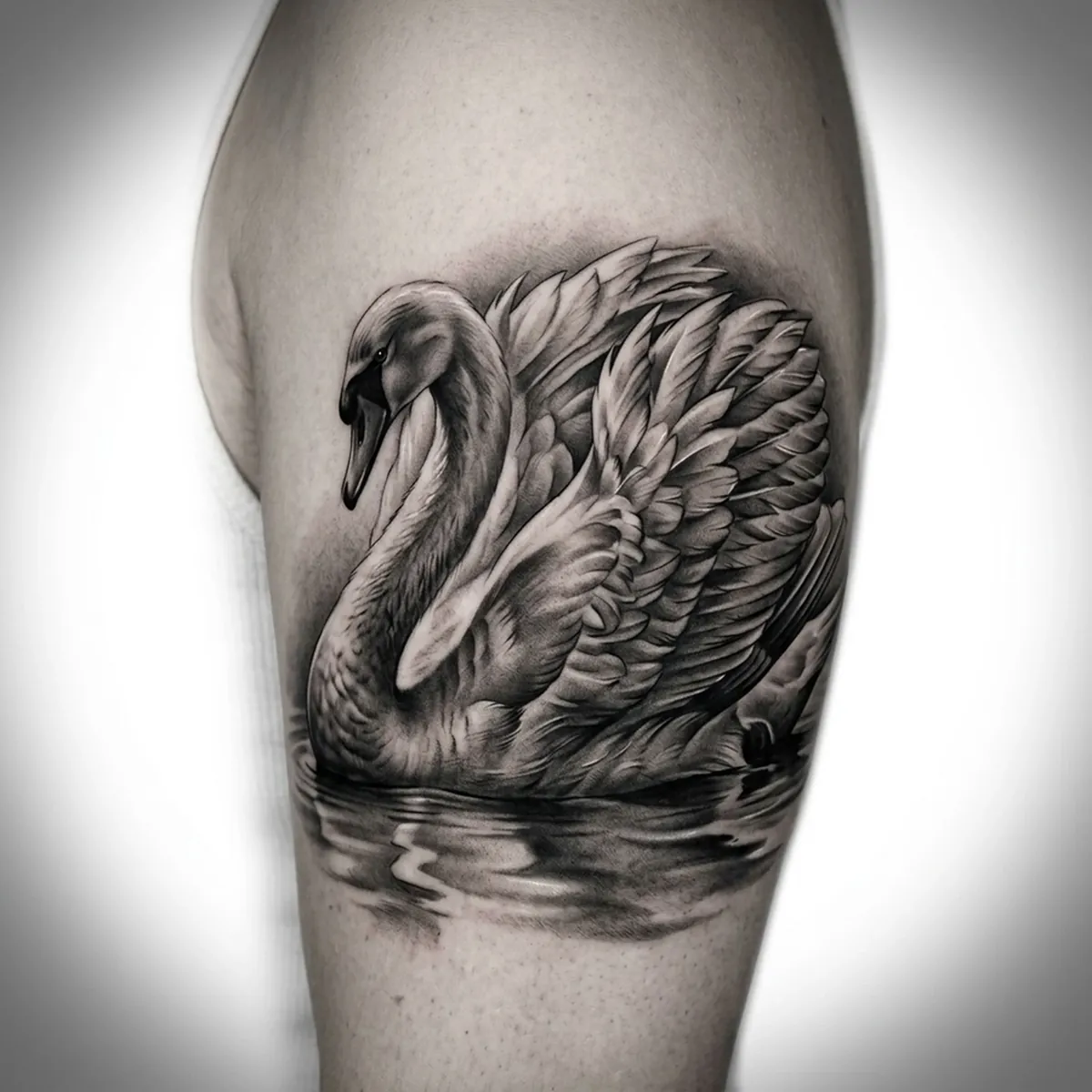 Swan Reference