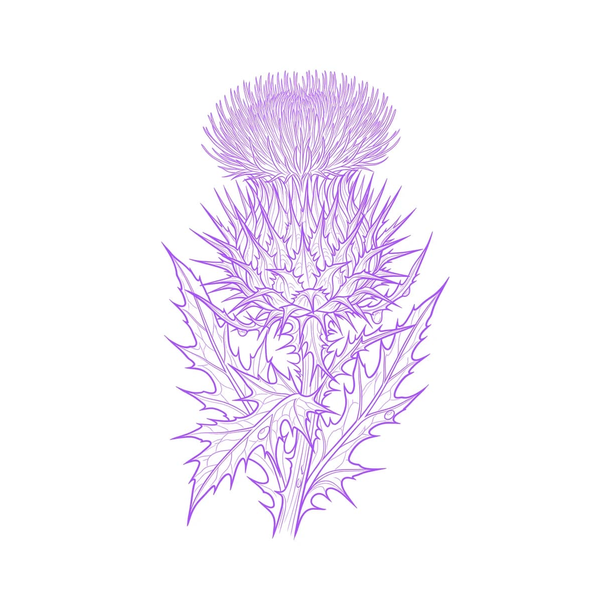Thistle Stencil
