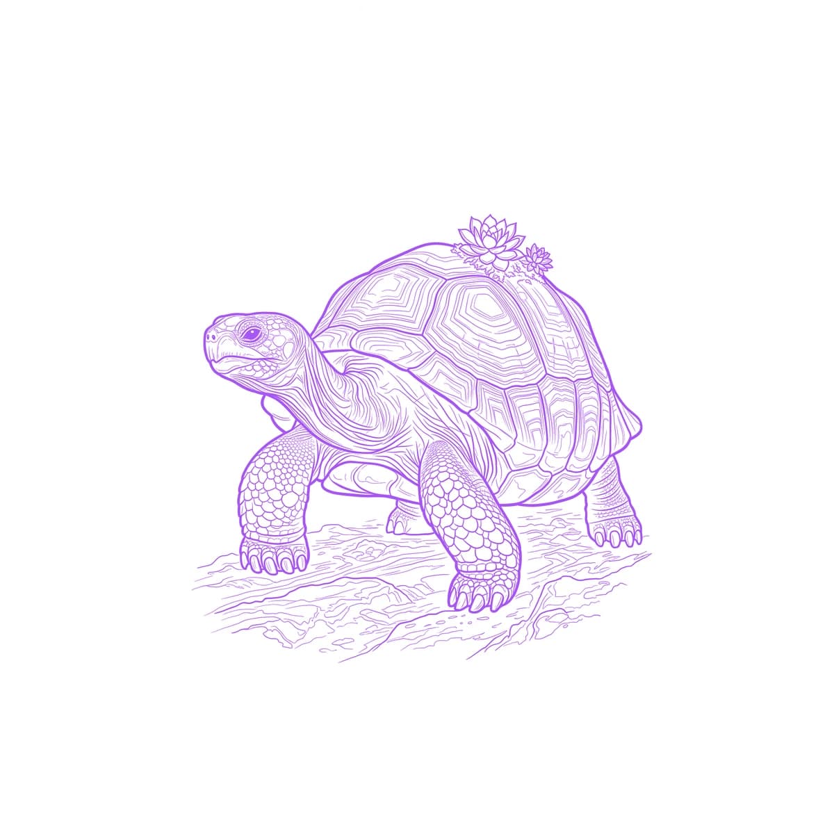 Schildkröte Schablone