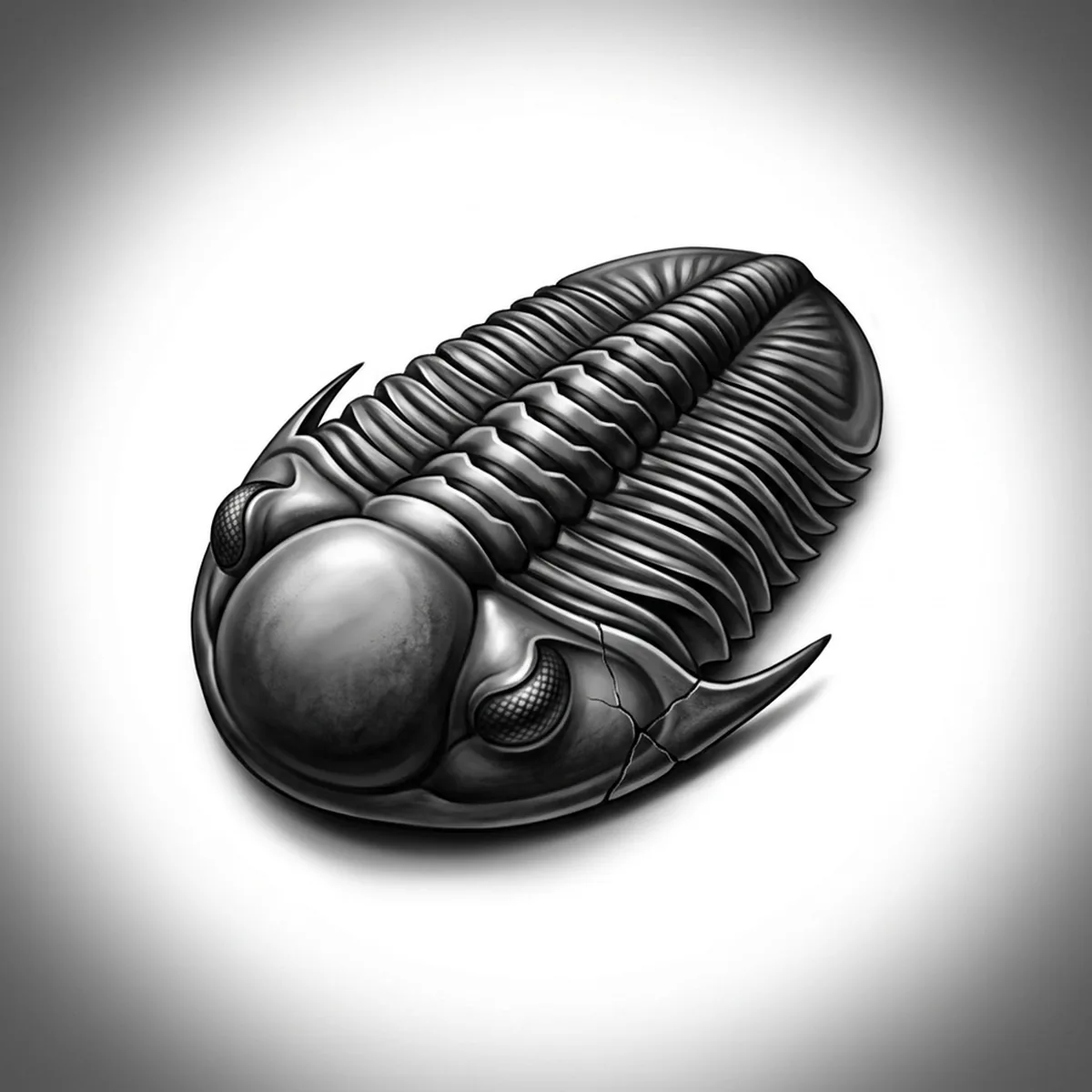 Trilobite — Reference