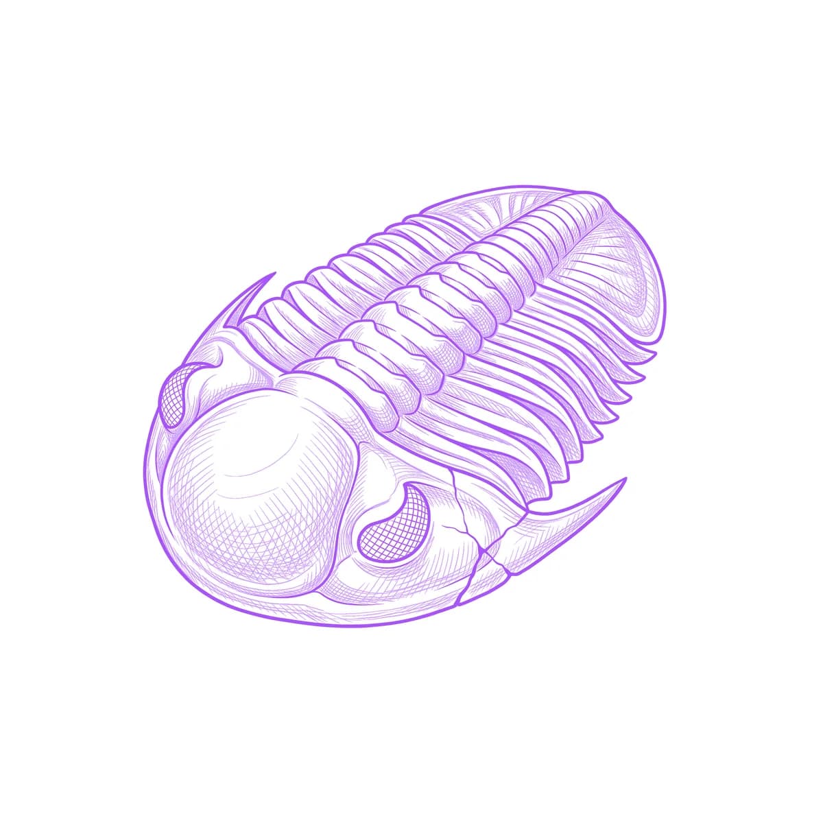 Trilobite Tattoo Stencil