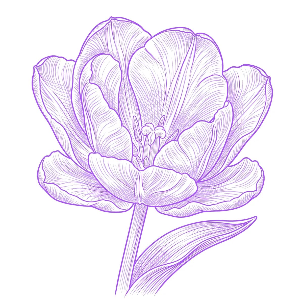 Tulip Stencil