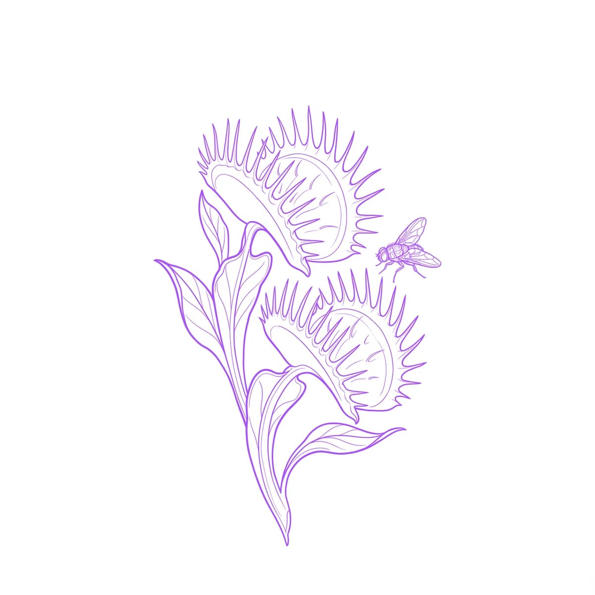 Dionea Stencil
