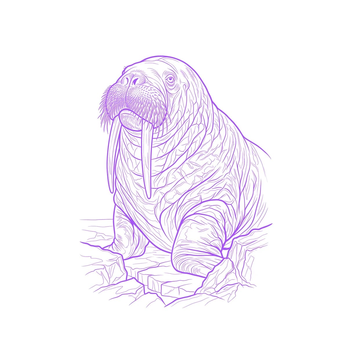 Walrus Stencil