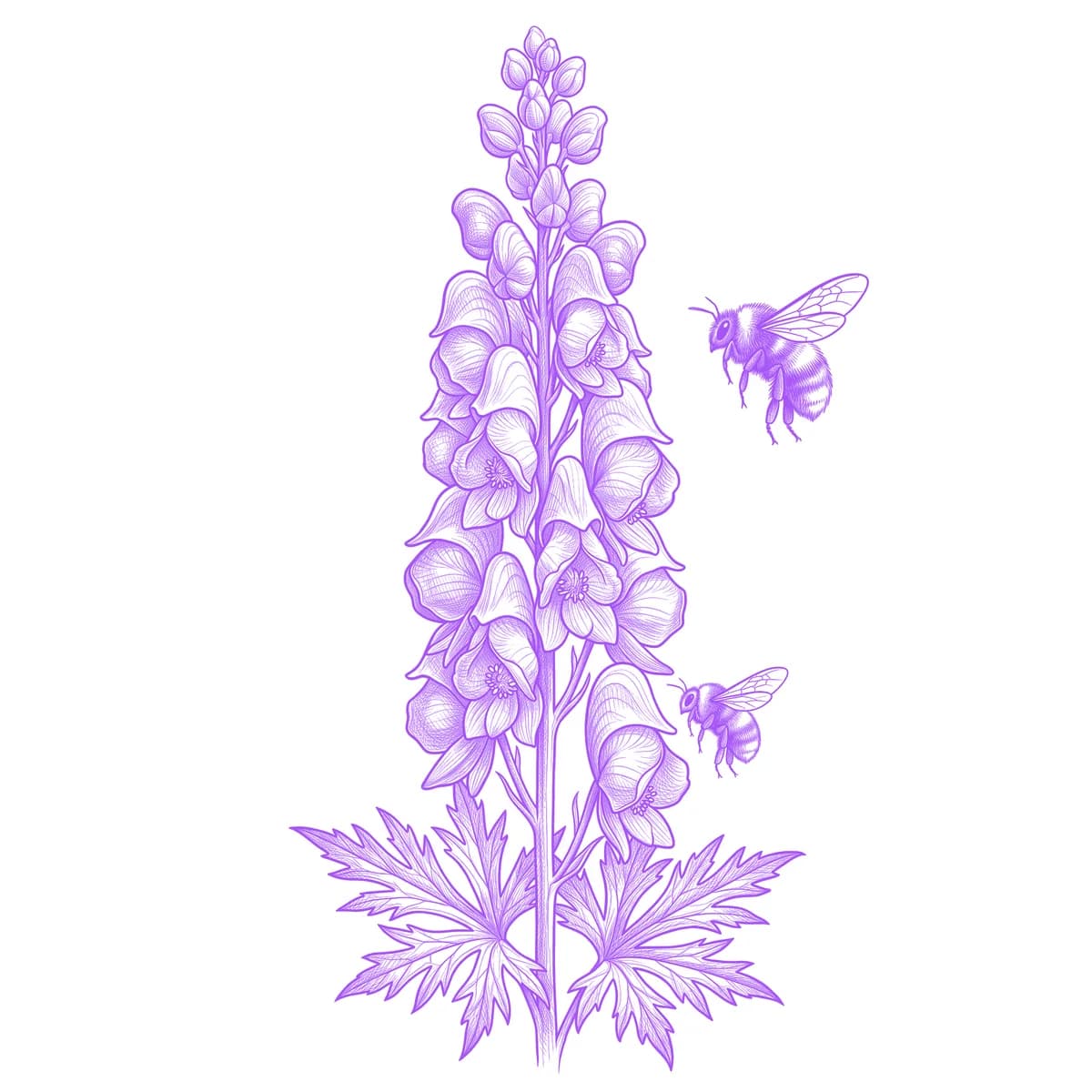 Wolfsbane Tattoo Stencil