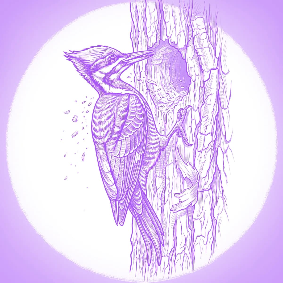 Woodpecker Tattoo Stencil